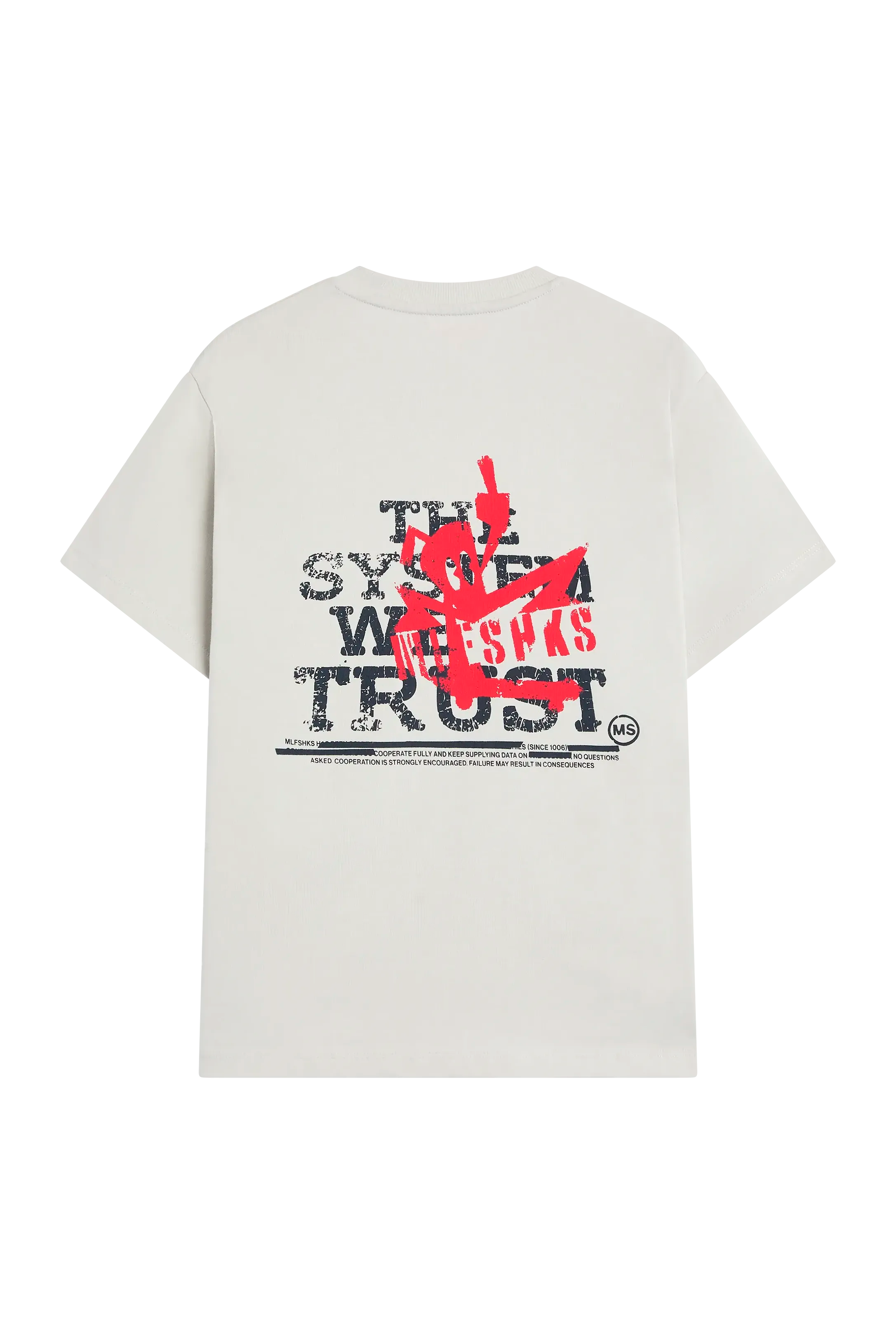 ESS749_SS26_tee_SKATE_icegray