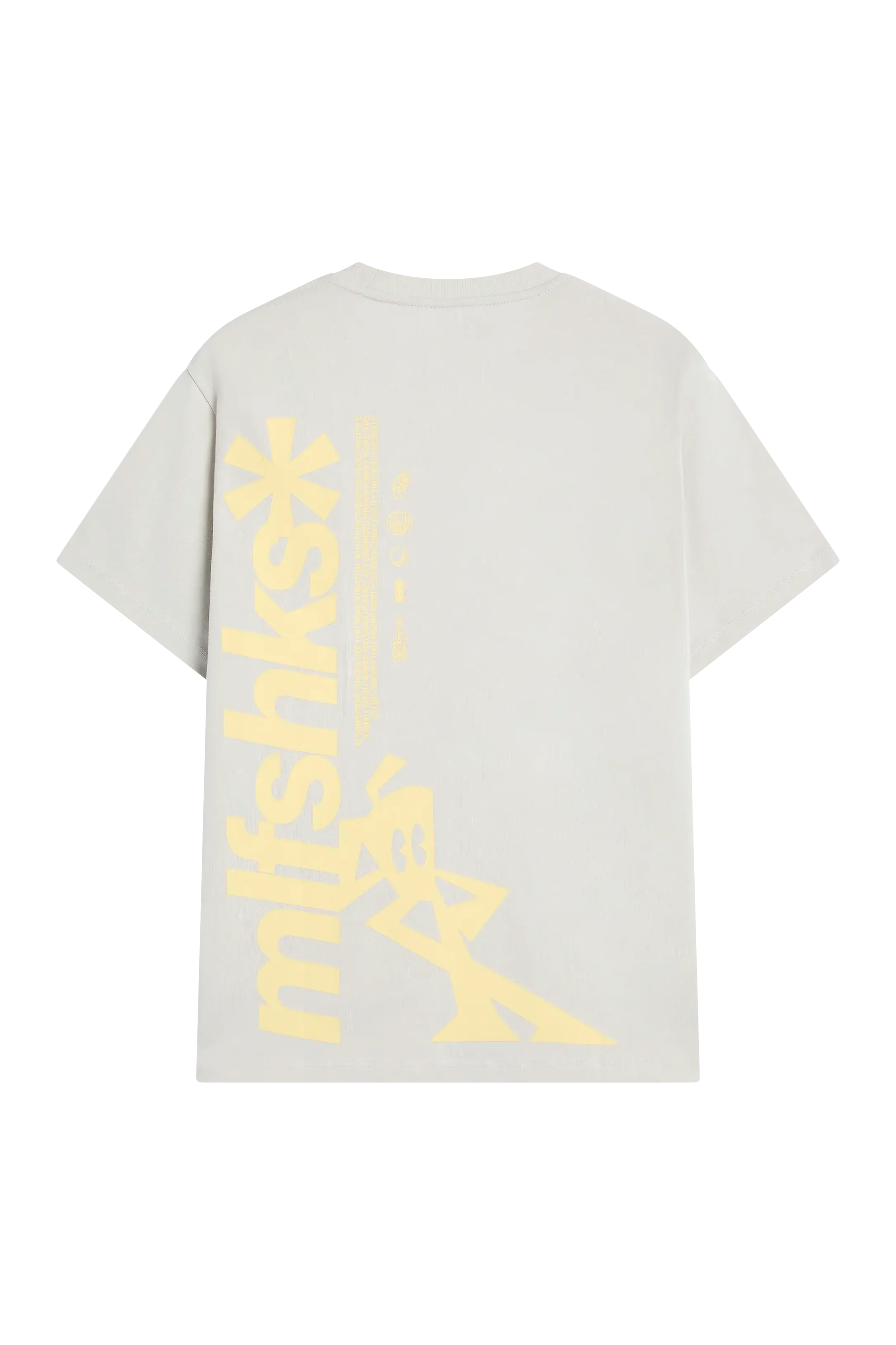 ESS756_SS26_tee_BIGBACK_ gray